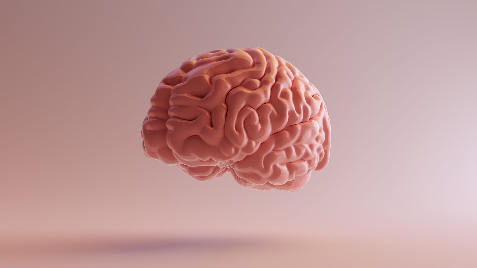 Cerebro rosa em ilustração 3D
