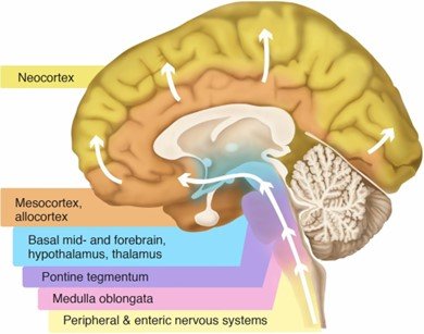 A doença de Parkinson é hereditária?